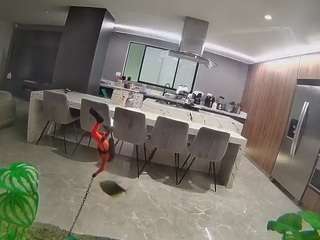 voyeurcam-casa-salsa-fishtank