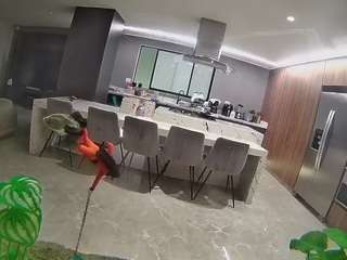voyeurcam-casa-salsa-fishtank
