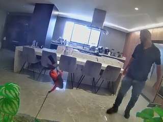 voyeurcam-casa-salsa-fishtank