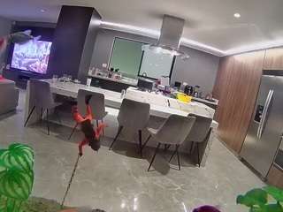 voyeurcam-casa-salsa-fishtank