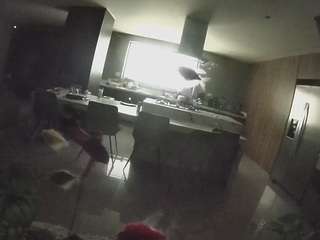 voyeurcam-casa-salsa-fishtank