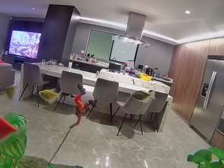 voyeurcam-casa-salsa-fishtank