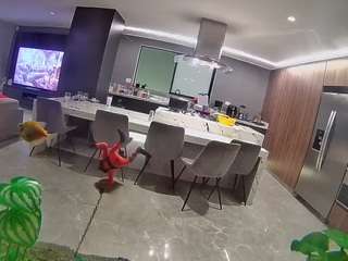 voyeurcam-casa-salsa-fishtank