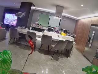 voyeurcam-casa-salsa-fishtank