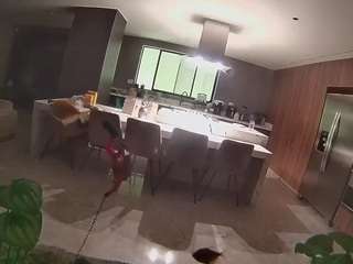 voyeurcam-casa-salsa-fishtank