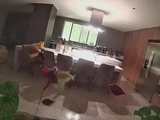 voyeurcam-casa-salsa-fishtank