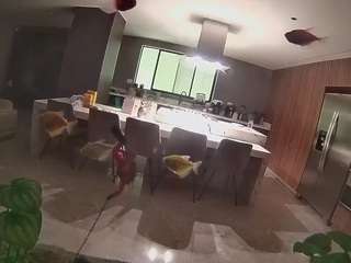 voyeurcam-casa-salsa-fishtank