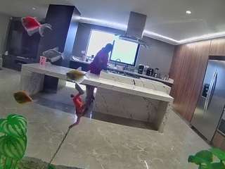 voyeurcam-casa-salsa-fishtank