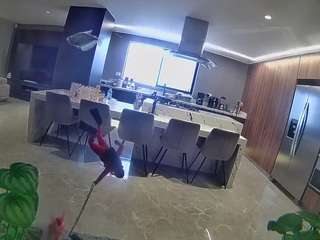 voyeurcam-casa-salsa-fishtank