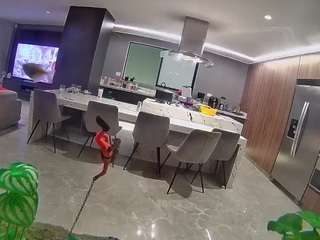 voyeurcam-casa-salsa-fishtank