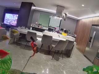 voyeurcam-casa-salsa-fishtank