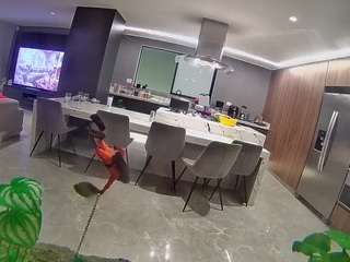 voyeurcam-casa-salsa-fishtank