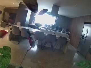 voyeurcam-casa-salsa-fishtank