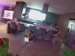 voyeurcam-casa-salsa-fishtank