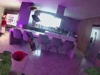 voyeurcam-casa-salsa-fishtank