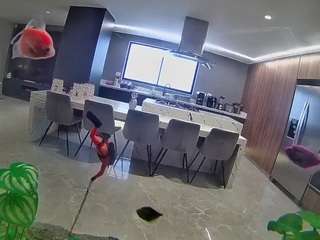 voyeurcam-casa-salsa-fishtank