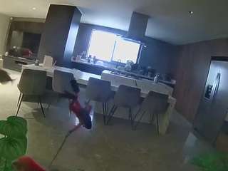 voyeurcam-casa-salsa-fishtank