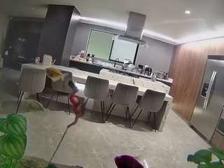 voyeurcam-casa-salsa-fishtank