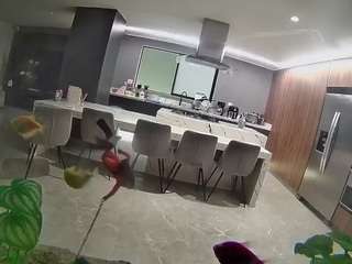 voyeurcam-casa-salsa-fishtank