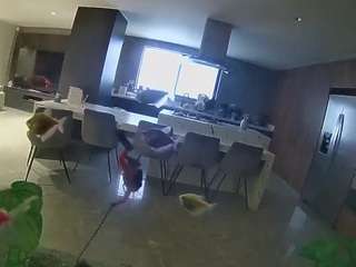 voyeurcam-casa-salsa-fishtank