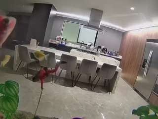 voyeurcam-casa-salsa-fishtank