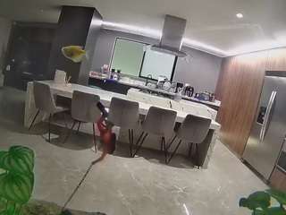 voyeurcam-casa-salsa-fishtank