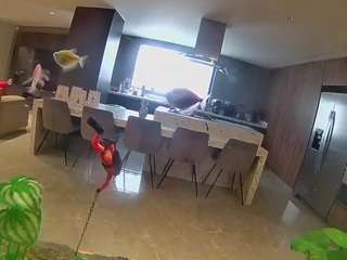 voyeurcam-casa-salsa-fishtank