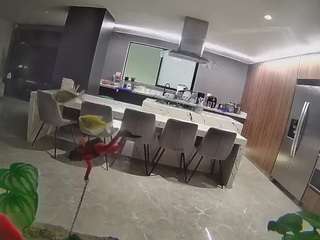 voyeurcam-casa-salsa-fishtank