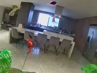 voyeurcam-casa-salsa-fishtank