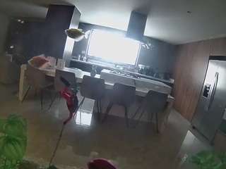 voyeurcam-casa-salsa-fishtank Hidden live webcam