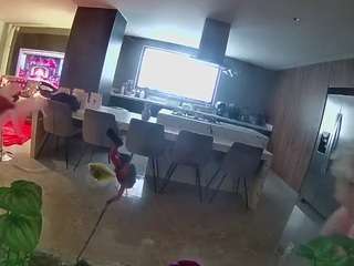 voyeurcam casa salsa fishtank live webcam on Soda Cams