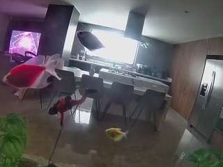 voyeurcam-casa-salsa-fishtank Hd live webcam