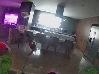 voyeurcam-casa-salsa-fishtank