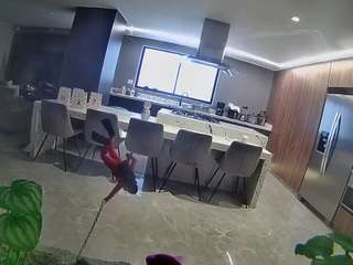 voyeurcam-casa-salsa-fishtank