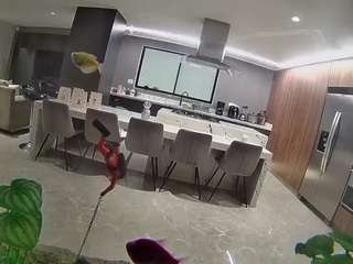 voyeurcam-casa-salsa-fishtank