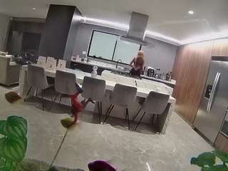 voyeurcam-casa-salsa-fishtank