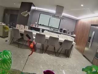 voyeurcam-casa-salsa-fishtank 1 live webcam