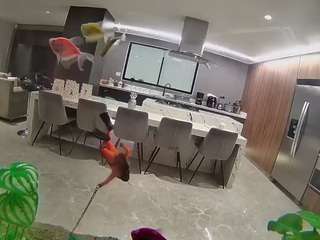 voyeurcam-casa-salsa-fishtank Teen live webcam