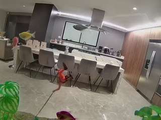 voyeurcam-casa-salsa-fishtank