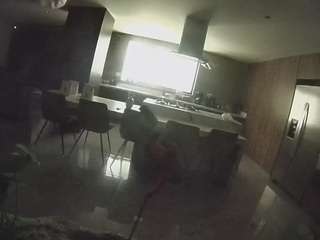 voyeurcam-casa-salsa-fishtank