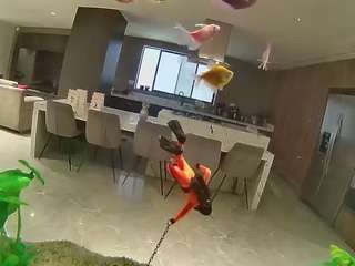 voyeurcam-casa-salsa-fishtank