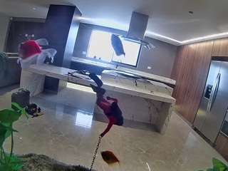 voyeurcam-casa-salsa-fishtank