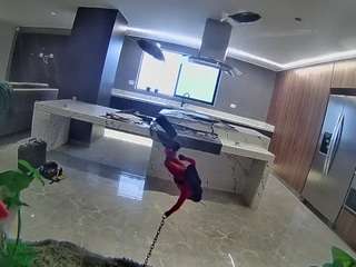 voyeurcam-casa-salsa-fishtank