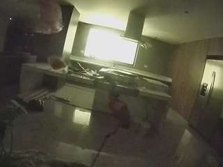 voyeurcam-casa-salsa-fishtank