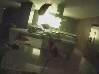 voyeurcam-casa-salsa-fishtank