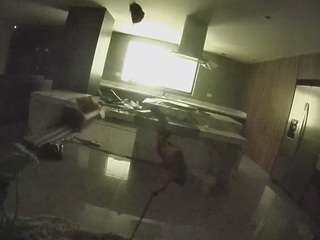 voyeurcam-casa-salsa-fishtank