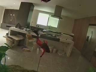 voyeurcam-casa-salsa-fishtank