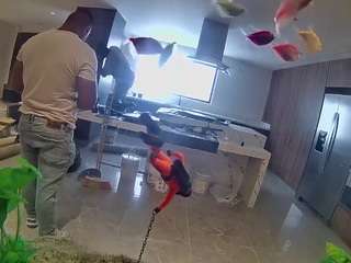 voyeurcam-casa-salsa-fishtank