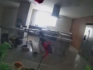 voyeurcam-casa-salsa-fishtank