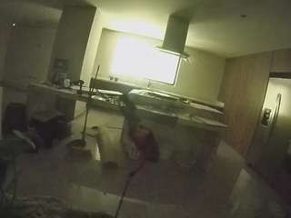 voyeurcam-casa-salsa-fishtank